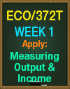 ECO/372T Week 1 Apply Measuring Output & Income